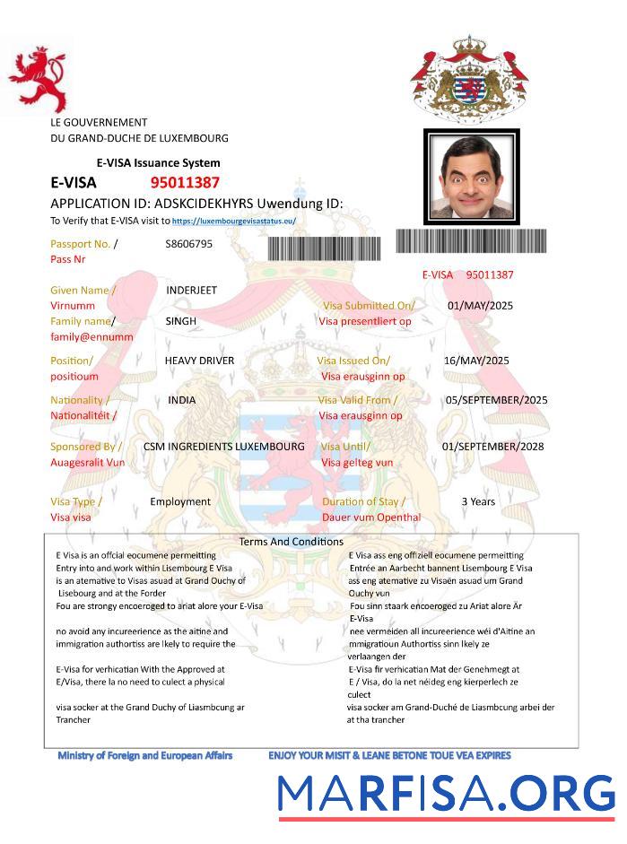 Downloadable Luxembourg work permit download for verification